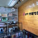 보라종합동물병원 이미지