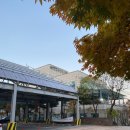 인천광역시교육청계양도서관 | 인천광역시교육청 계양도서관 네살 아이와 방문 기록