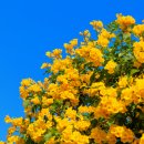 깨끗한 세차장 이미지