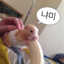 60계 부천역점 이미지