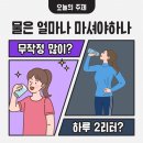 리턴투핏 네이버블로그