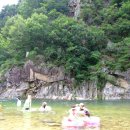 세차의정석 이미지