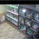 러블리독 애견카페 이미지