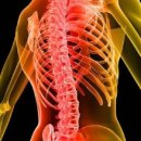 바른자세 요가 이미지