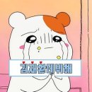 101 Daum카페