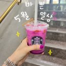 유한회사 학동 | [5월일상]요즘구입템⭐️|스타벅스신메뉴💕|목포집🍗|우와오코노미야끼|몽중헌🍜