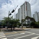 능동마을7단지앞 이미지