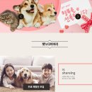 주식회사 대성플러스 이미지