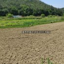 구산면570 이미지