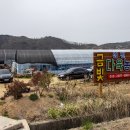 금빛다육