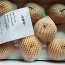 사암농장 이미지