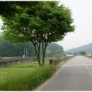 송집수효자각 이미지