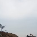 효자건강랜드 이미지