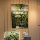 대포서원 | 2025 청주 성안길 포케 맛집 │ 다이어트 식단도 맛있게 즐기는 행포케 성안길점 후기