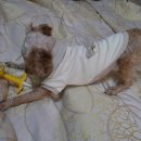 까꿍이 하우스 이미지