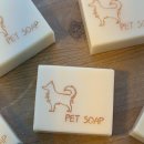 배제 | 부산 반려견비누만들기 원데이 클래스, 코코넛 배제 맞춤 레시피 수업 후기!