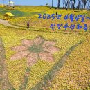 신안개발 이미지