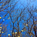 수일여관 이미지