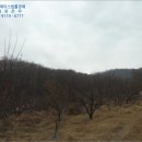 샛골축산 이미지