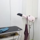 멋내는 애견 이미지