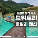풀빌라펜션 드위트리 1 | 강원도 정선의 몰디브라고 불리는 풀빌라 숙소 드위트리 펜션 빌라04 숙박 후기