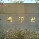 채가네들깨국수 이미지