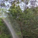 상관편백숲길 | 전북완주군 상관편백나무숲길 피톤치드 산책로 오솔길 걷기좋은 산림욕추천 전주익산근처