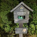 오미원 | 금천녹색광장 에서 걷기운동하는 후기