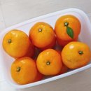 와이제이상사 이미지