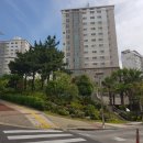 서호동-13 이미지