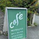 앵지밭골 | 창원 마산 카페 앵지밭골그집 수국 개화상태