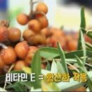 비타나무