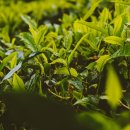 정한의원 이미지