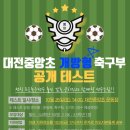 대전중앙초 개방형 축구부 이미지