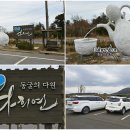 다희연 티 뮤지엄 이미지