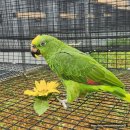 교동농장 이미지