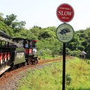 에코랜드 이미지