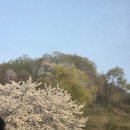 인천항햇빛발전소4 | ● 파주 아이랑 주말 가볼만한 오두산통일전망대 (feat.어린이체험관이 있다니. 벚꽃구경)