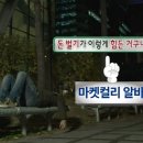 상온 | 창원마켓컬리 알바 2탄｜상온 패킹 후기, 업무 강도 솔직 리뷰