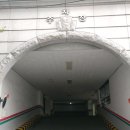 강임 하이빌 이미지