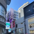 K-POP코인노래연습장 이미지