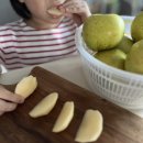 사과 한 입에 느껴지는 달콤함, 시나노골드 사과의 매력 발견 🍏
