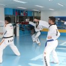 국가대표 엘리트 태권도장 이미지