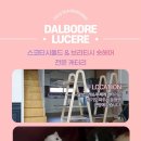 달보드레/루체레 이미지