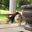 조선메디칼 | 이것저것 후기