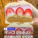 하츠베이커리