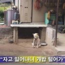 원조돌메기 매운탕 이미지