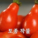 은옥농장 Daum카페