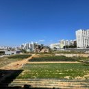 국민체육센터 게이트볼장 이미지