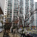 여주둥지공인중개사사무소 이미지